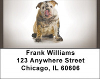 Bulldogs Address Labels | LBZDOG-04