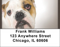 Bulldogs Address Labels | LBZDOG-04