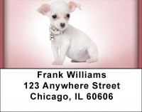 Chihuahuas Address Labels | LBZDOG-05
