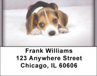 Beagles Address Labels | LBZDOG-12