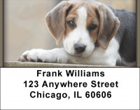 Beagles Address Labels | LBZDOG-12
