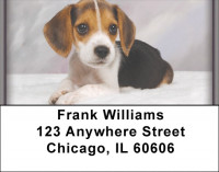 Beagles Address Labels | LBZDOG-12