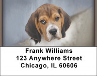 Beagles Address Labels | LBZDOG-12