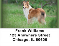 Collies Address Labels | LBZDOG-14