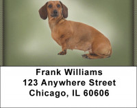 Dachshunds Address Labels | LBZDOG-15