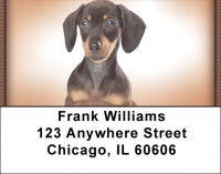 Dachshund Puppies Address Labels | LBZDOG-16