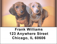 Dachshund Puppies Address Labels | LBZDOG-16