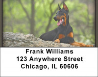 Alert and Watching Address Labels | LBZDOG-26