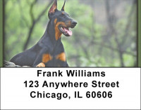 Alert and Watching Address Labels | LBZDOG-26