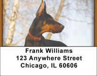 Alert and Watching Address Labels | LBZDOG-26
