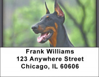 Alert and Watching Address Labels | LBZDOG-26
