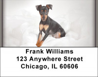 Fun Doberman Style Address Labels | LBZDOG-27