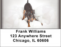 Fun Doberman Style Address Labels | LBZDOG-27