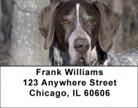 German Short Haired Pointers Address Labels | LBZDOG-28