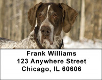 German Short Haired Pointers Address Labels | LBZDOG-28