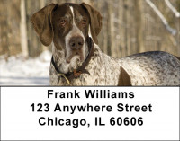 German Short Haired Pointers Address Labels | LBZDOG-28