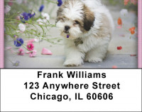 Lhasa Apso Address Labels | LBZDOG-30
