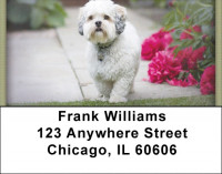 Lhasa Apso Address Labels | LBZDOG-30