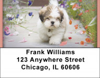 Lhasa Apso Address Labels | LBZDOG-30