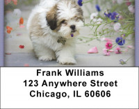 Lhasa Apso Address Labels | LBZDOG-30