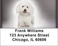 Adorable Bichons Address Labels | LBZDOG-31
