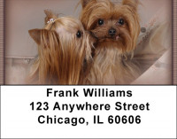 Yorkies Address Labels | LBZDOG-34