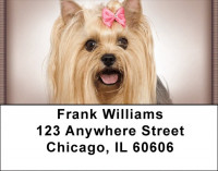 Yorkies Address Labels | LBZDOG-34