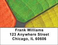 Colored Blocks Address Labels | LBZEDU-04