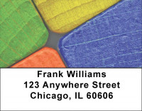 Creative Fun Address Labels | LBZEDU-06