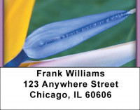 Blooming Paradise Address Labels | LBZFLO-02