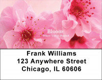 Bloom Where You're Planted Address Labels | LBZFLO-04