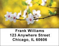Blooming Closeups Address Labels | LBZFLO-05