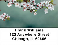 Blooming Closeups Address Labels | LBZFLO-05