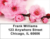 Blossoms In Pink and Blue Address Labels | LBZFLO-06