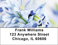 Blossoms In Pink and Blue Address Labels | LBZFLO-06