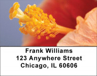 Bouquet of Hibiscus Address Labels | LBZFLO-07