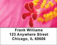 Bouquet of Hibiscus Address Labels | LBZFLO-07