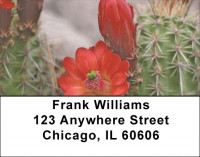 Desert In Bloom Address Labels | LBZFLO-08