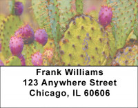 Desert In Bloom Address Labels | LBZFLO-08