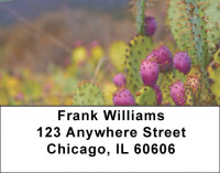 Desert In Bloom Address Labels | LBZFLO-08