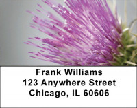 Colors In Bloom Address Labels | LBZFLO-10