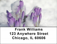 Crocus Address Labels | LBZFLO-11