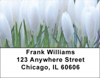 Crocus Address Labels | LBZFLO-11