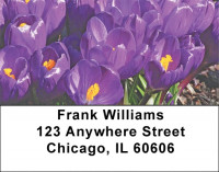 Crocus Address Labels | LBZFLO-11