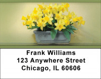 Daffodils Address Labels | LBZFLO-12