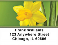 Daffodils Address Labels | LBZFLO-12
