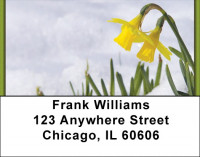 Daffodils First To Bloom Address Labels | LBZFLO-13