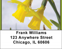 Daffodils First To Bloom Address Labels | LBZFLO-13