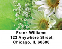 Daisies On Green Address Labels | LBZFLO-14