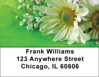 Daisies On Green Address Labels | LBZFLO-14